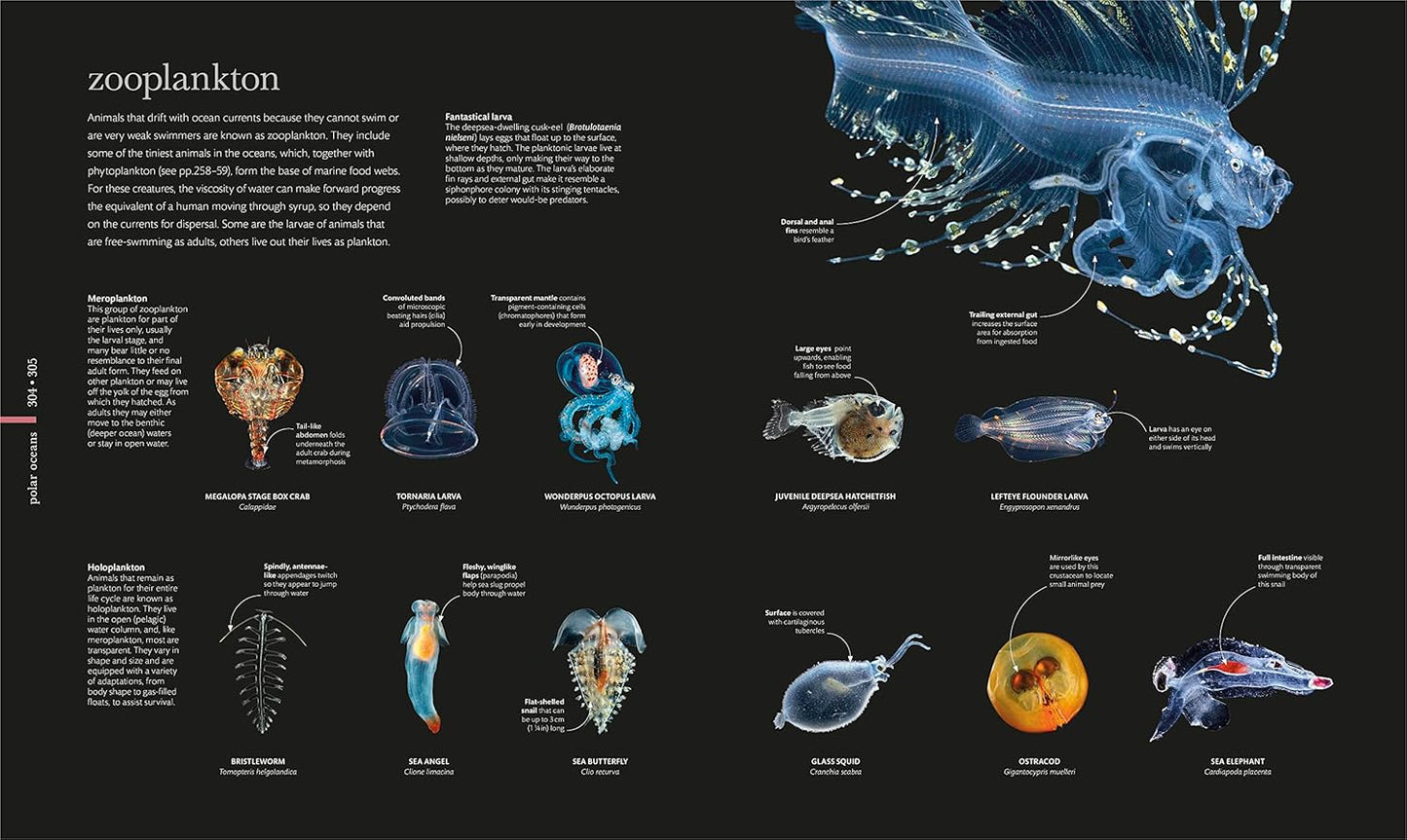 The Science of the Ocean: The Secrets of the Seas Revealed - DK Secret World Encyclopedias (Hardback)