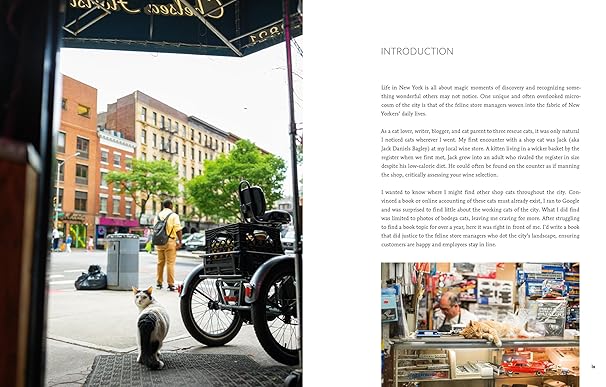 Shop Cats of New York (Revised and Expanded) (Hardback)