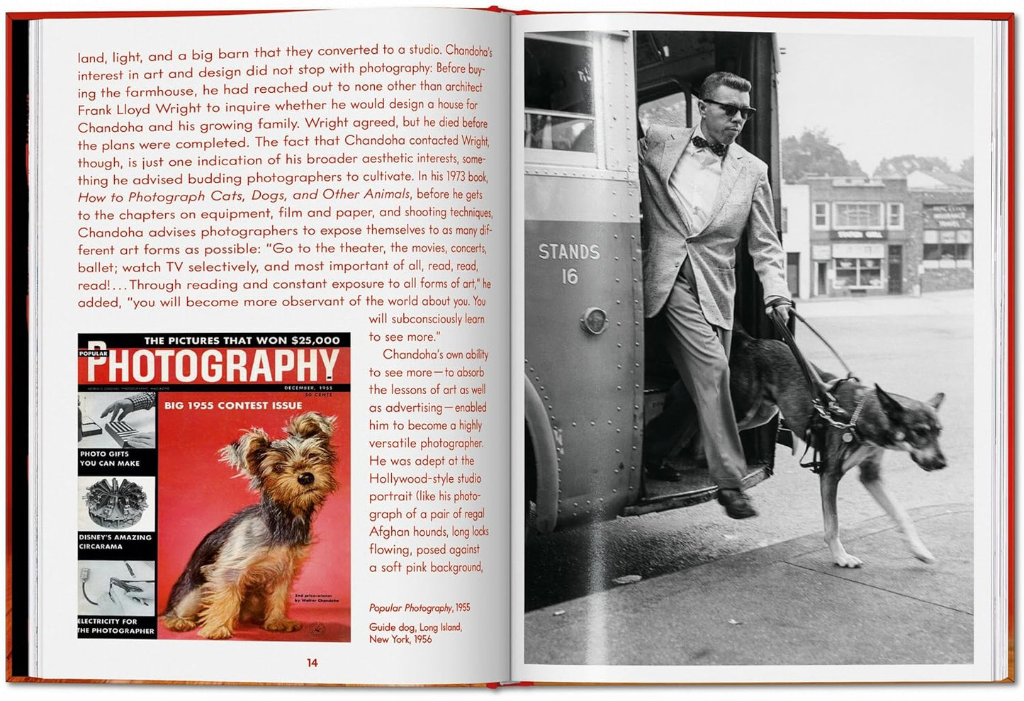 Walter Chandoha. Dogs. Photographs 1941–1991 (Hardback)