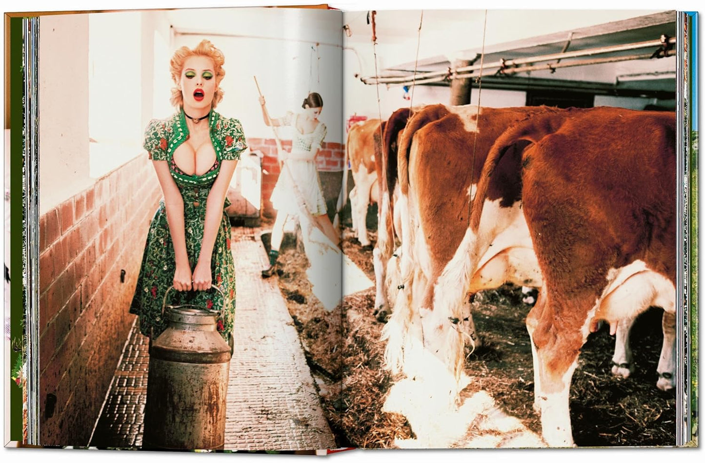 Ellen von Unwerth. Heimat (Hardback)