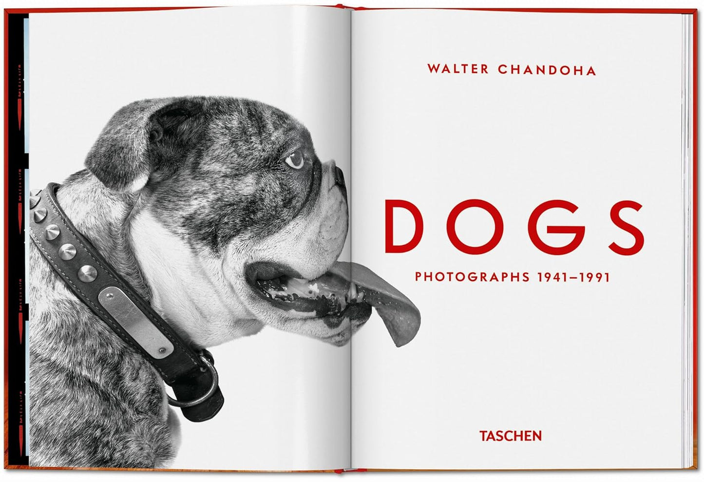 Walter Chandoha. Dogs. Photographs 1941–1991 (Hardback)