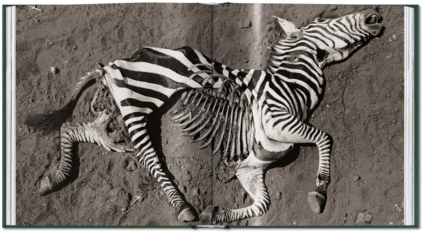 Peter Beard. The End of the Game (Hardback)