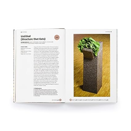 The Short Story of Contemporary Art By Susie Hodge (Flexibound )