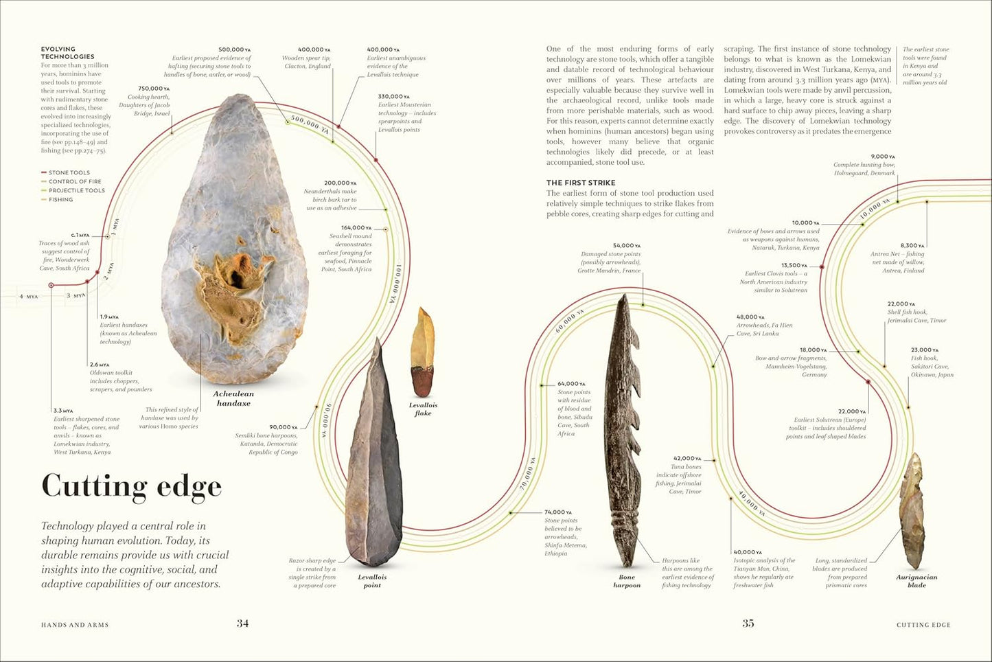 Humans: The Evolution of a Species (Hardback)