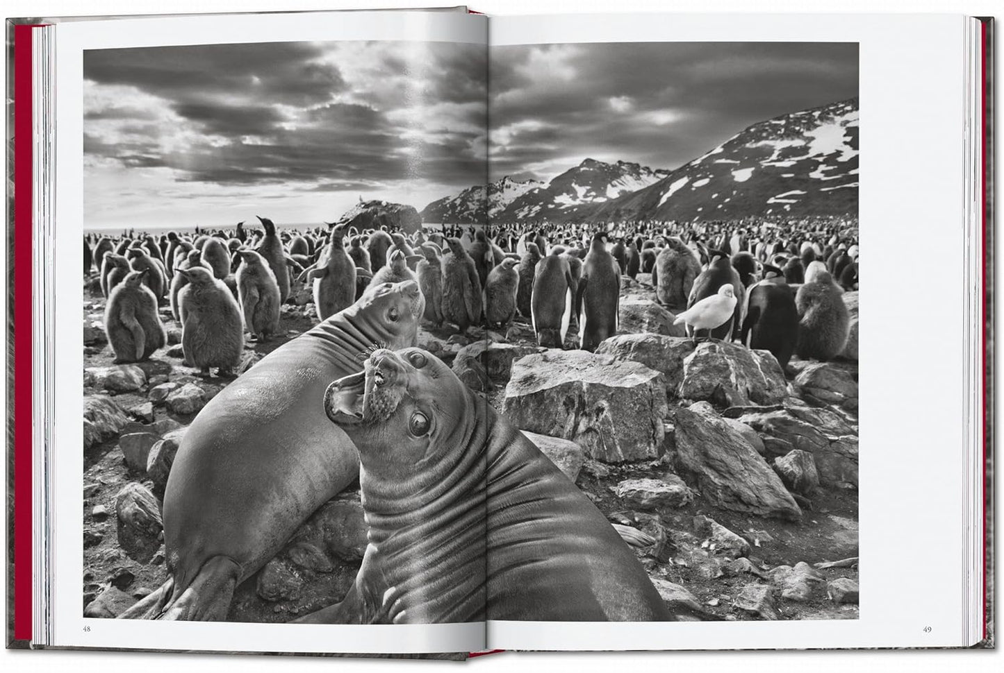 Sebastião Salgado. Genesis. 45th Ed. - 45th Edition (Hardback)