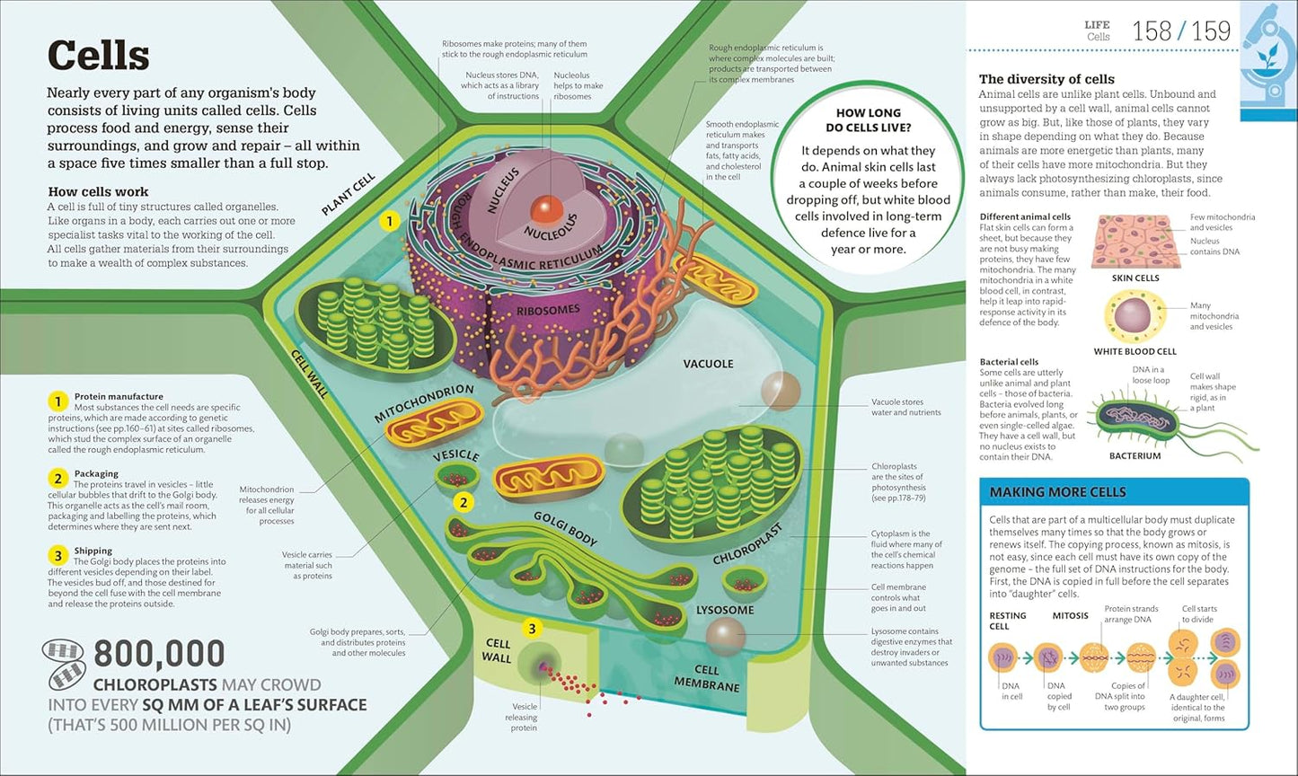 How Science Works: The Facts Visually Explained - DK How Stuff Works (Hardback)