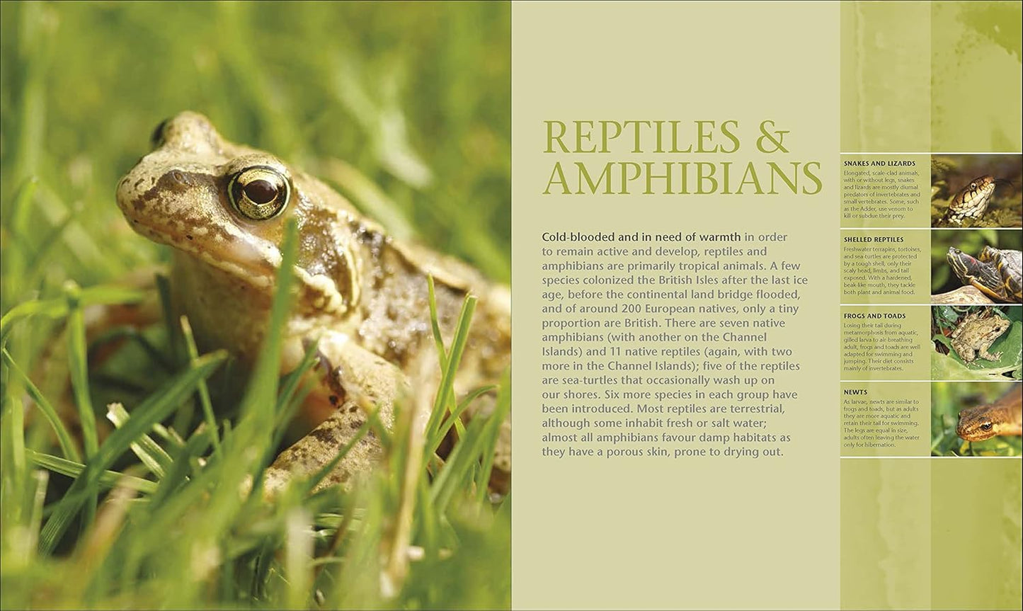 Wildlife of Britain and Ireland: Over 1,400 Species in Incredible Photographic Detail (Hardback)