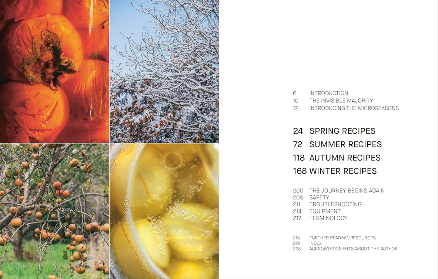 A Year of Fermentation: A Seasonal Guide to the Art & Science of Fermentation (Hardback)