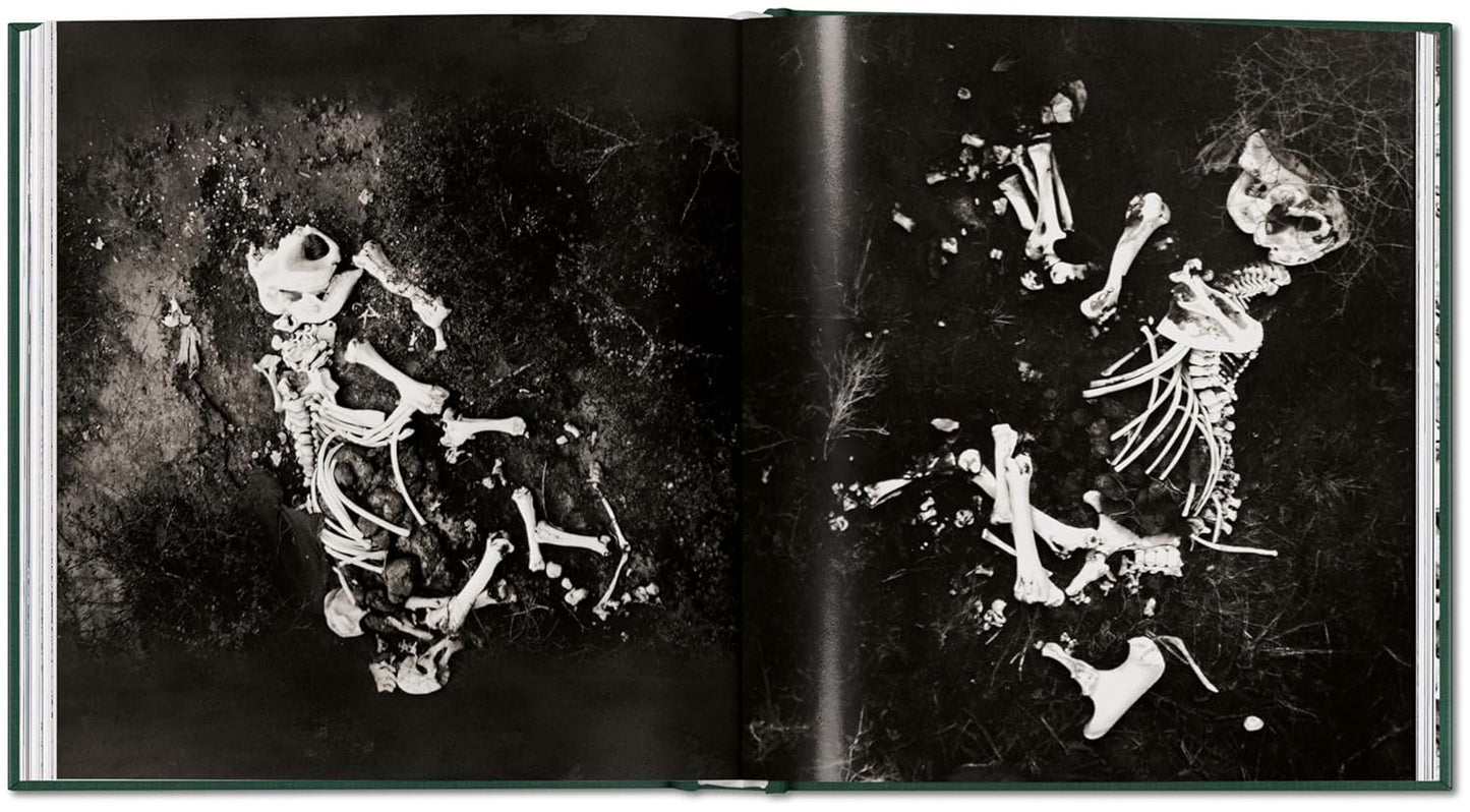 Peter Beard. The End of the Game (Hardback)