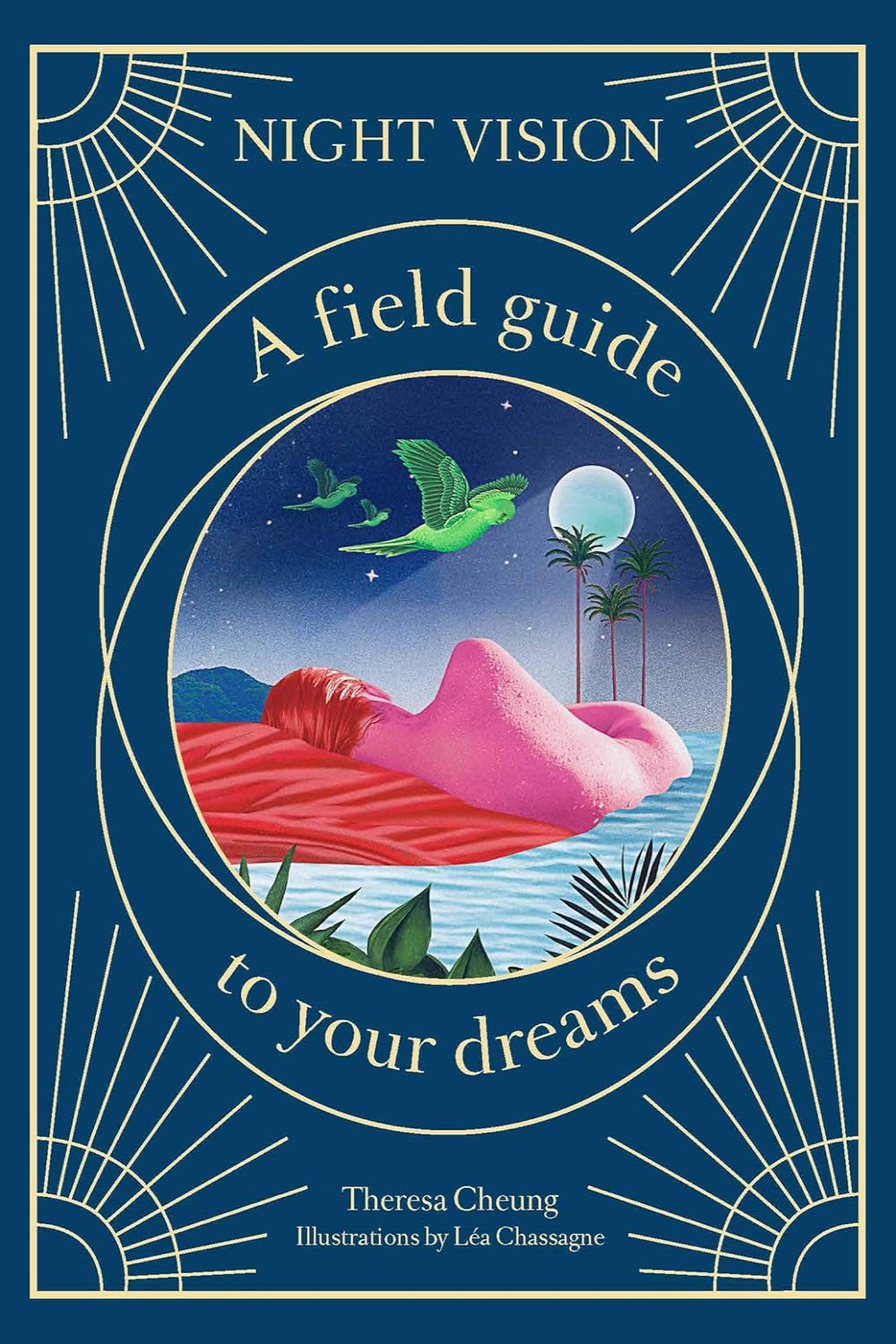 Night Vision: A Field Guide to Your Dreams (Hardback)