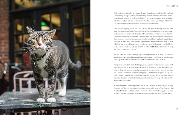 Shop Cats of New York (Revised and Expanded) (Hardback)