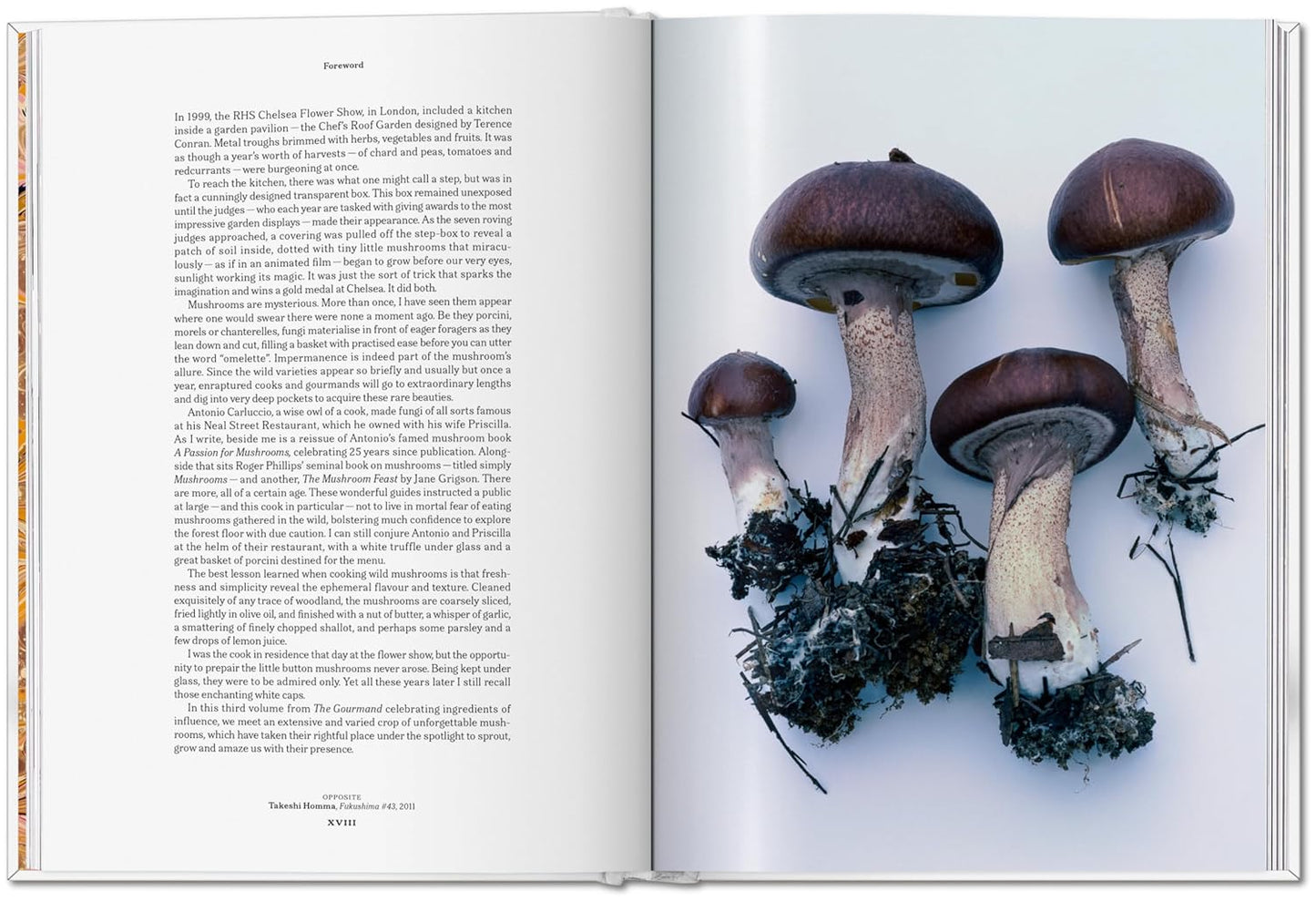 The Gourmand's Mushroom (Hardback)