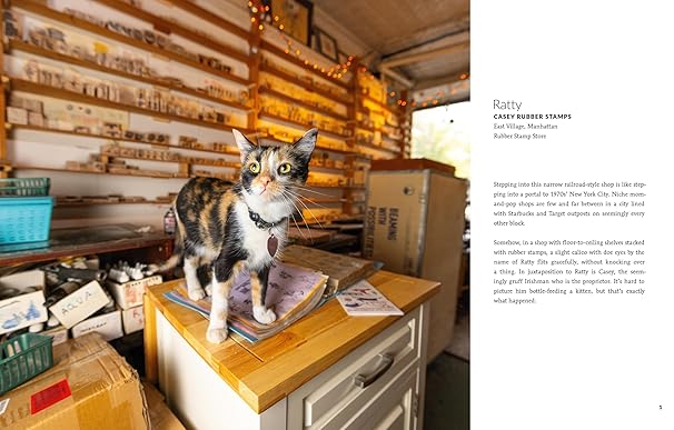 Shop Cats of New York (Revised and Expanded) (Hardback)