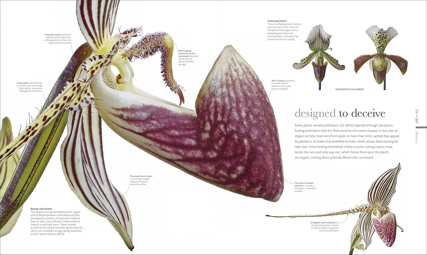The Science of Plants: Inside their Secret World - DK Secret World Encyclopedias (Hardback)
