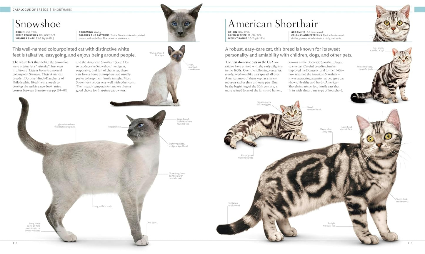 The Cat Encyclopedia: The Definitive Visual Guide - DK Pet Encyclopedias (Hardback)