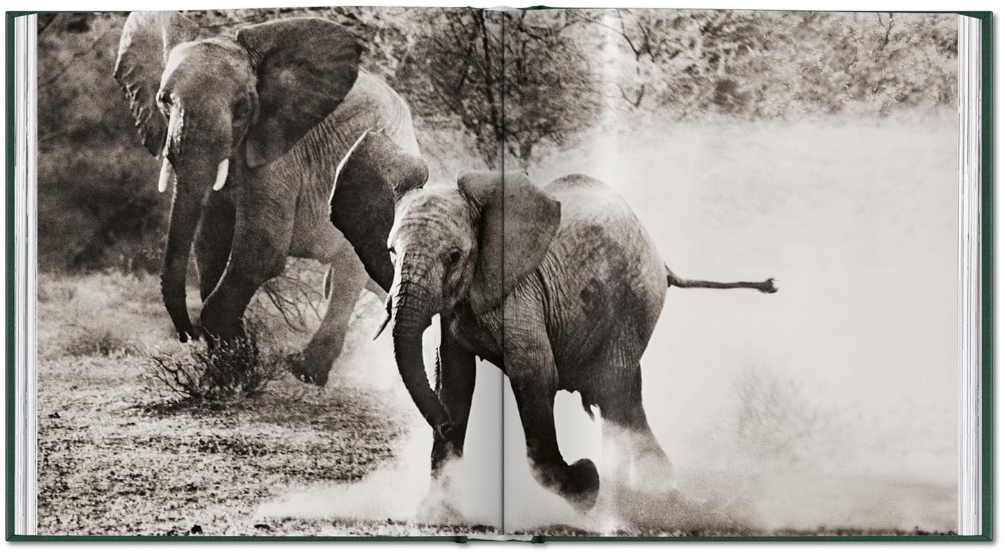 Peter Beard. The End of the Game (Hardback)
