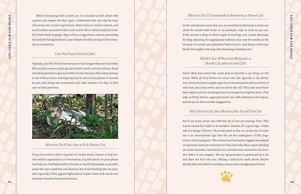 Street Cats & Where to Find Them: The Most Feline-Friendly Cities and Attractions Around the World (Hardback)