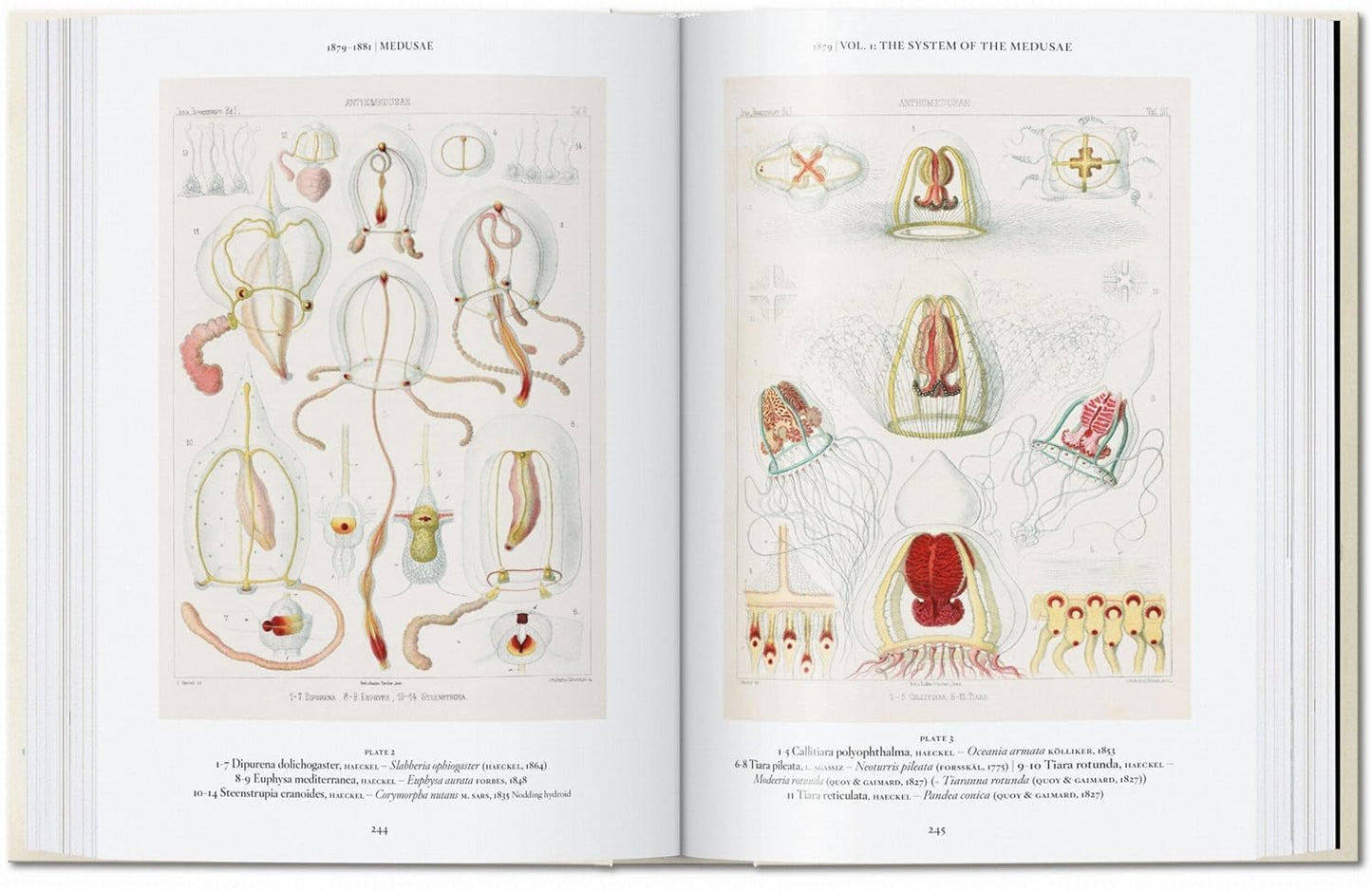 The Art and Science of Ernst Haeckel. 45th Ed. - 45th Edition (Hardback)