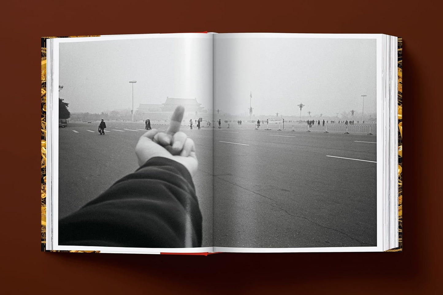 Ai Weiwei. Updated Edition (Hardback)