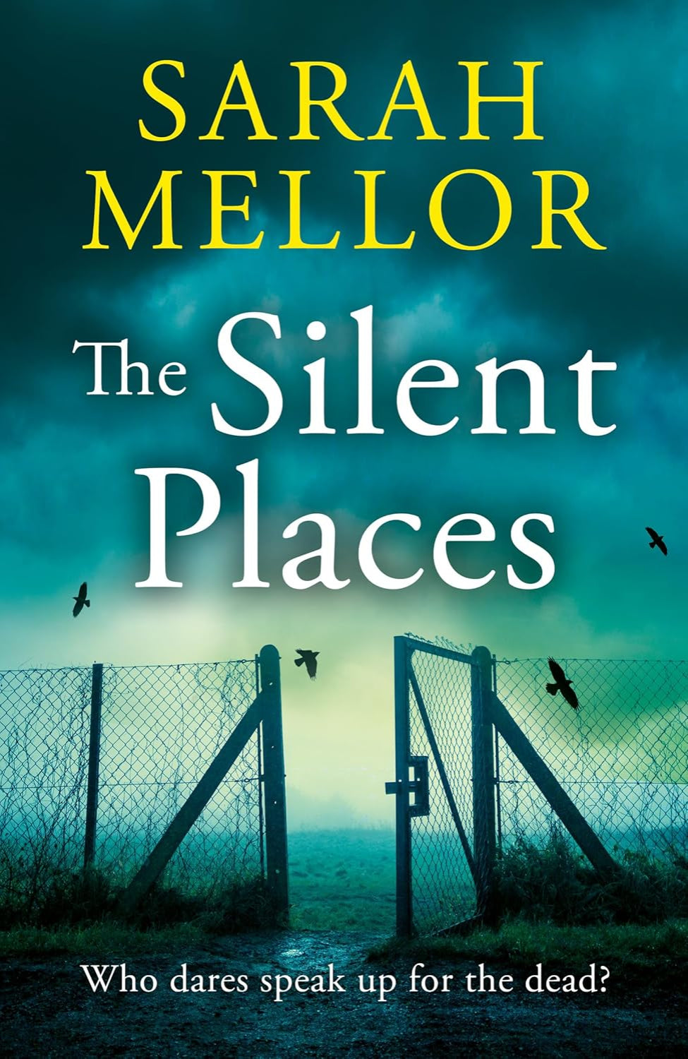 The Silent Places By Sarah Mellor (Hardback)