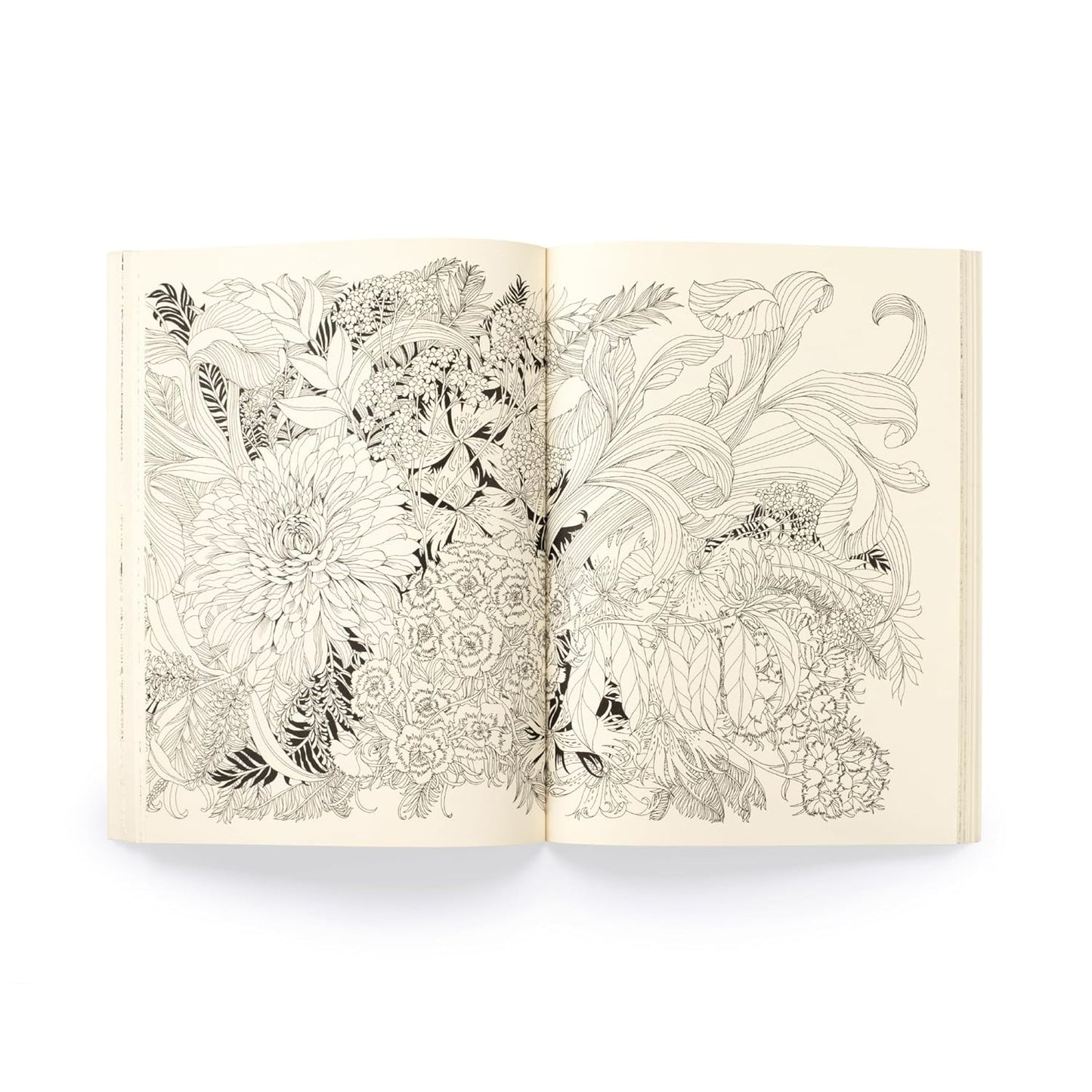 Floribunda Year: A Flower Colouring Companion (Paperback)