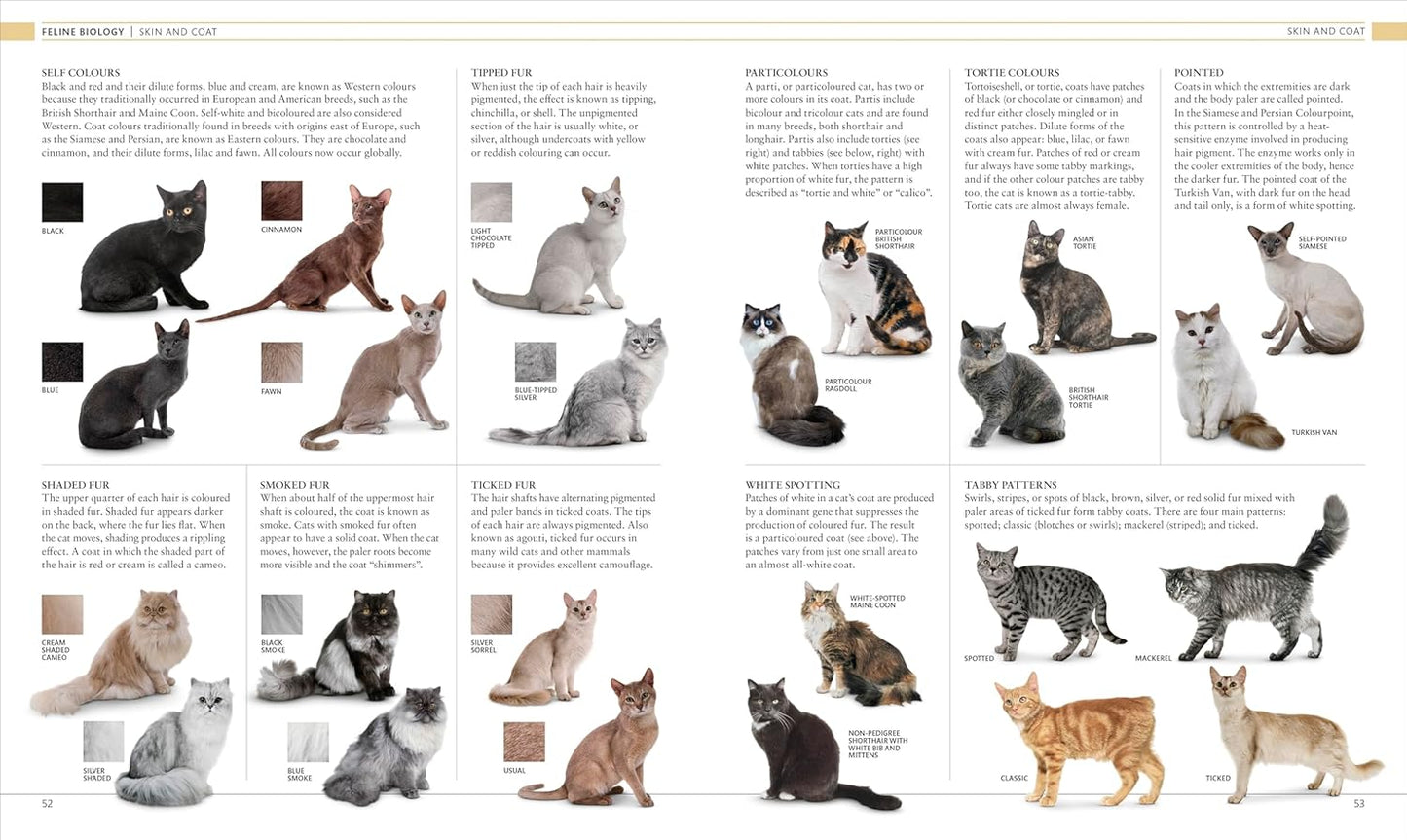 The Cat Encyclopedia: The Definitive Visual Guide - DK Pet Encyclopedias (Hardback)