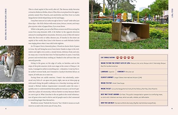 Street Cats & Where to Find Them: The Most Feline-Friendly Cities and Attractions Around the World (Hardback)