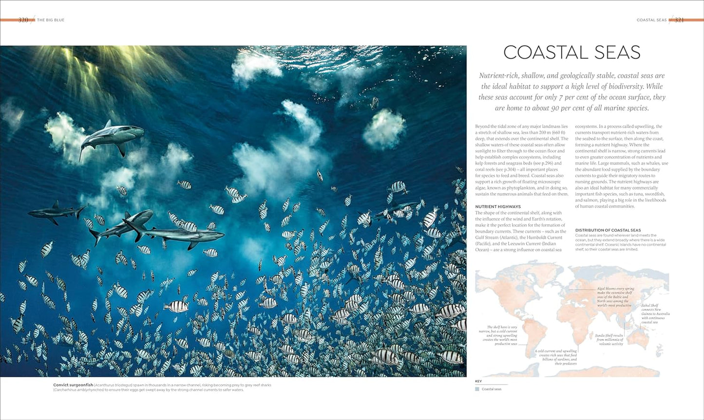 Habitats: Discover Earth's Precious Wild Places (Hardback)