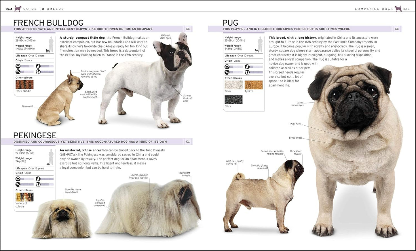 The Complete Dog Breed Book: Choose the Perfect Dog for You - DK Pet Breed Guides (Hardback)