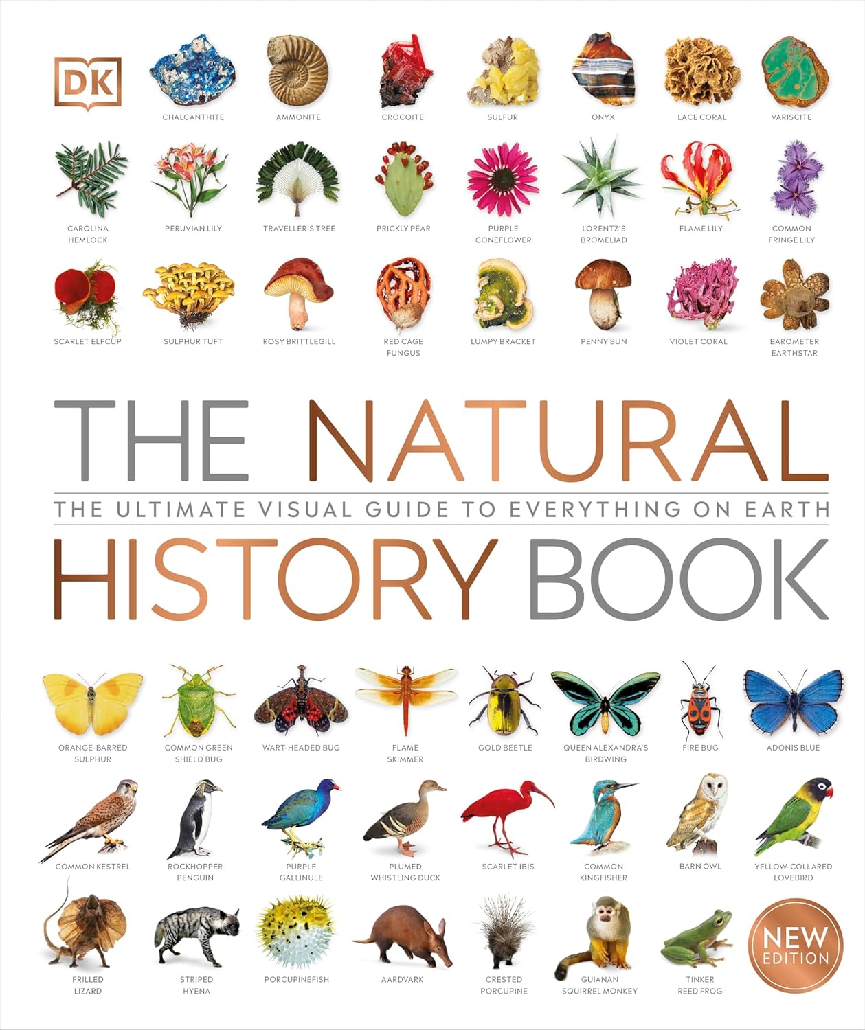 The Natural History Book: The Ultimate Visual Guide to Everything on Earth - DK Definitive Visual Encyclopedias (Hardback)