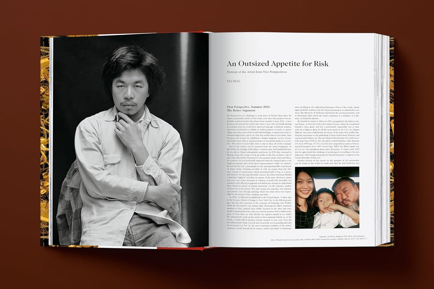 Ai Weiwei. Updated Edition (Hardback)