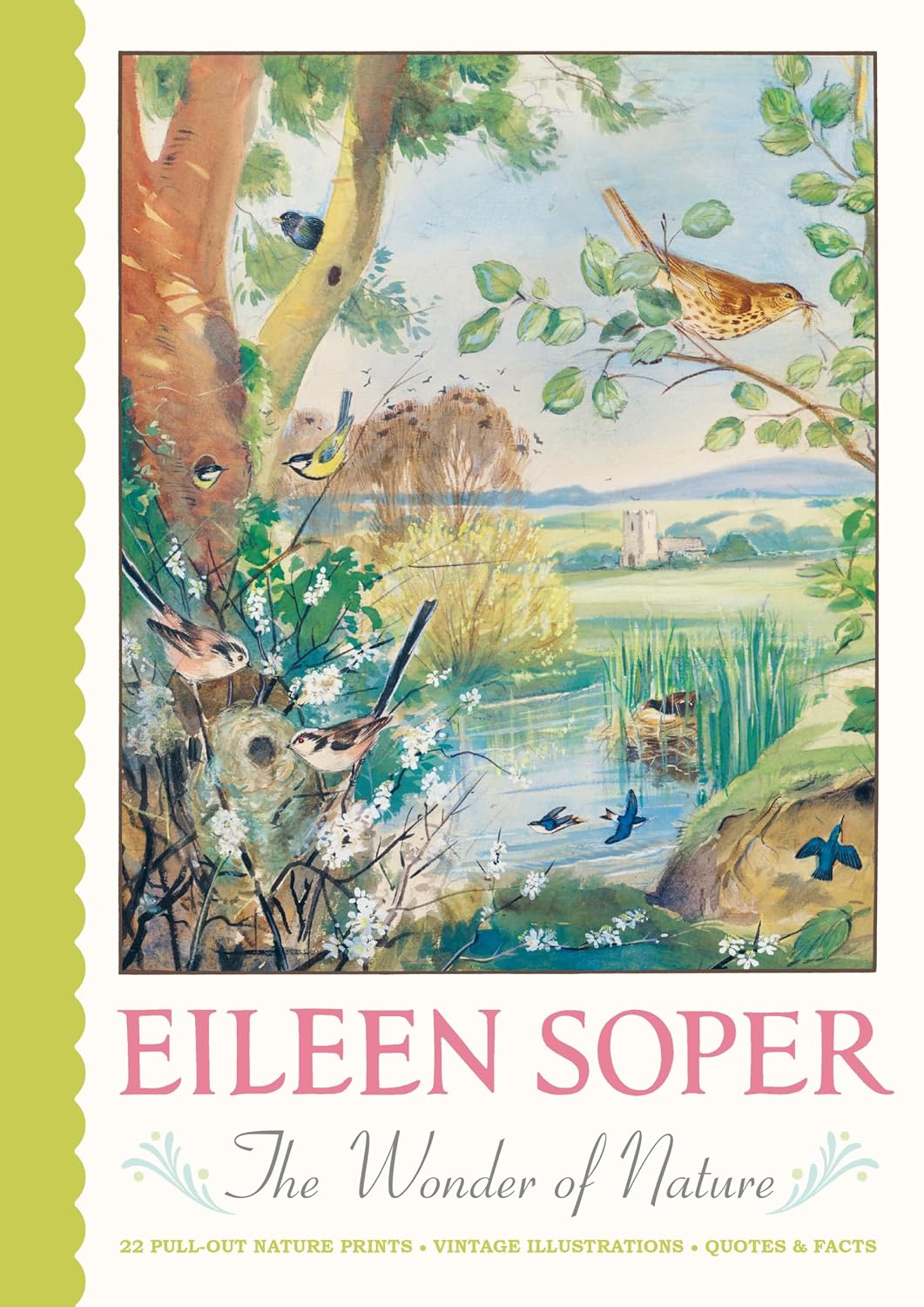 Eileen Soper: The Wonder of Nature Pull-Out Prints: With 22 vintage illustrations, plus quotes and facts (Hardback)