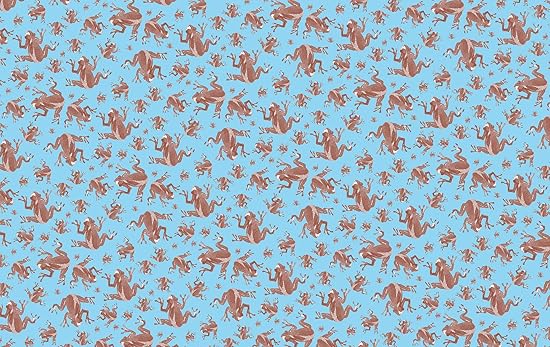 Harry Potter: Chocolate Frog Squishy Lock & Key Diary