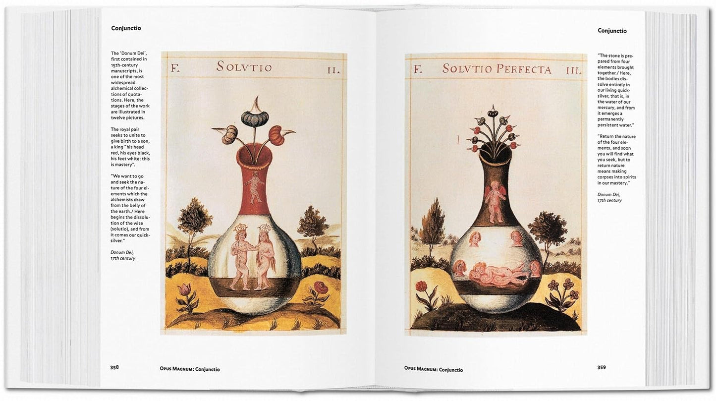 Alchemy & Mysticism - Bibliotheca Universalis (Hardback)