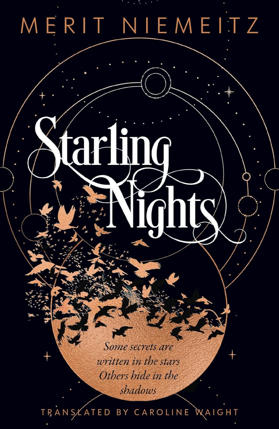 Starling Nights By Merit Niemeitz
