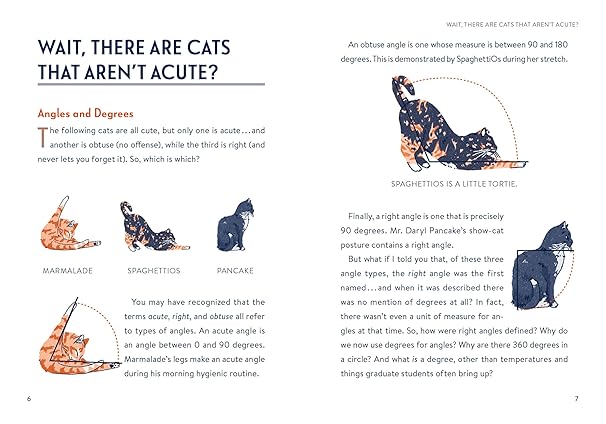 Math Cats: Scratching the Surface of Mathematical Concepts (Hardback)