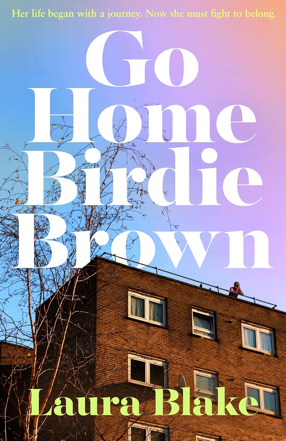 Go Home Birdie Brown By Laura Blake (Hardback)