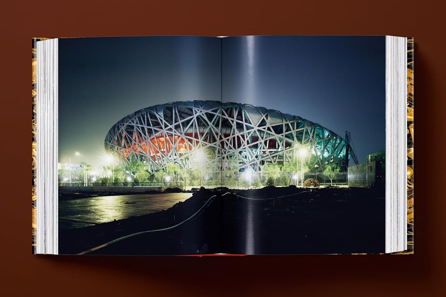 Ai Weiwei. Updated Edition (Hardback)