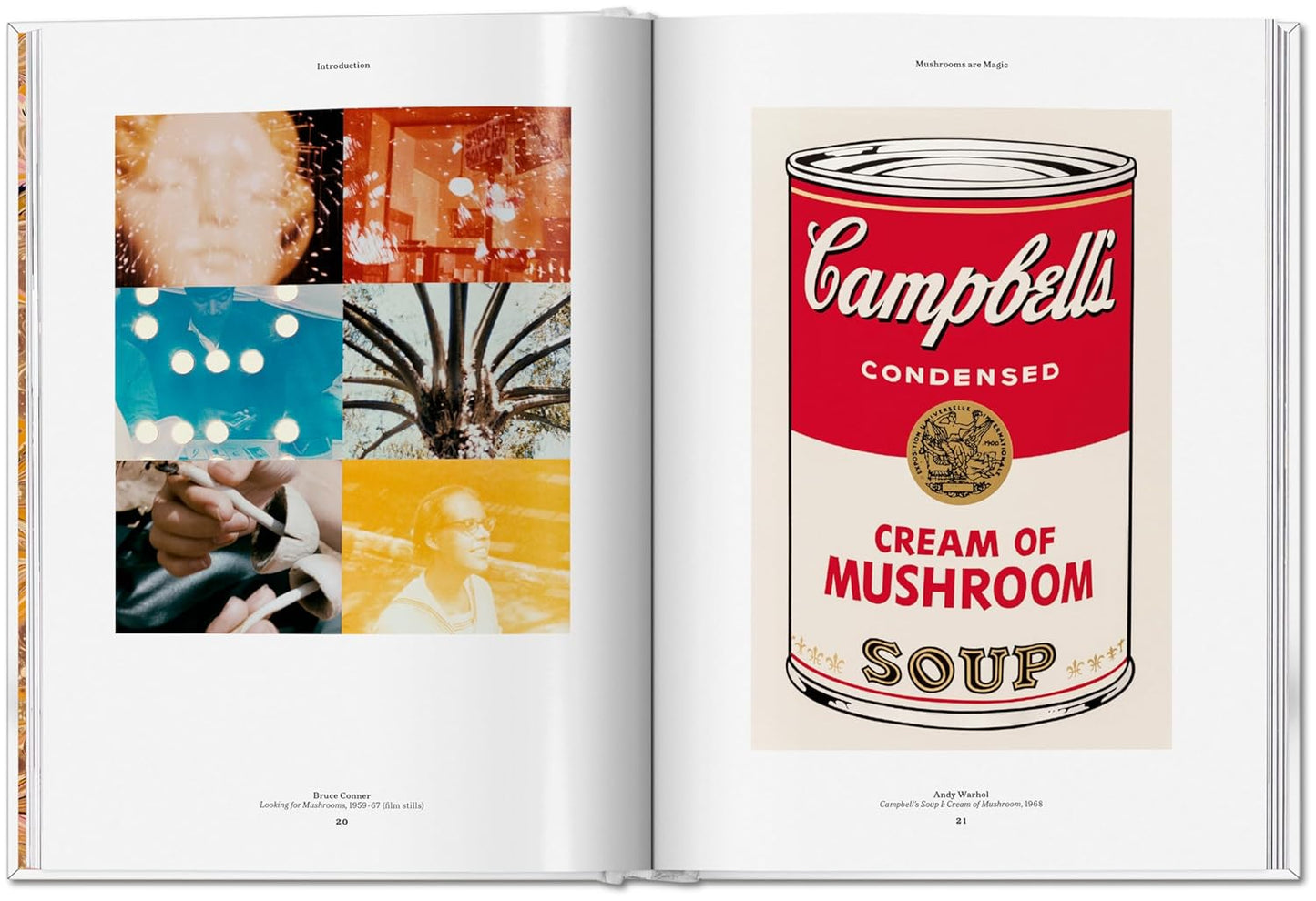 The Gourmand's Mushroom (Hardback)