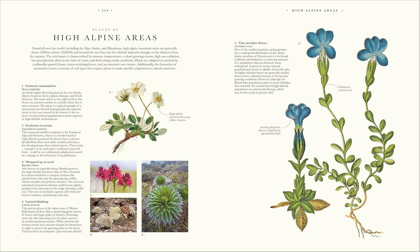 Atlas of Botany: An Exploration of Plants Across Time and Around the World (Hardback)