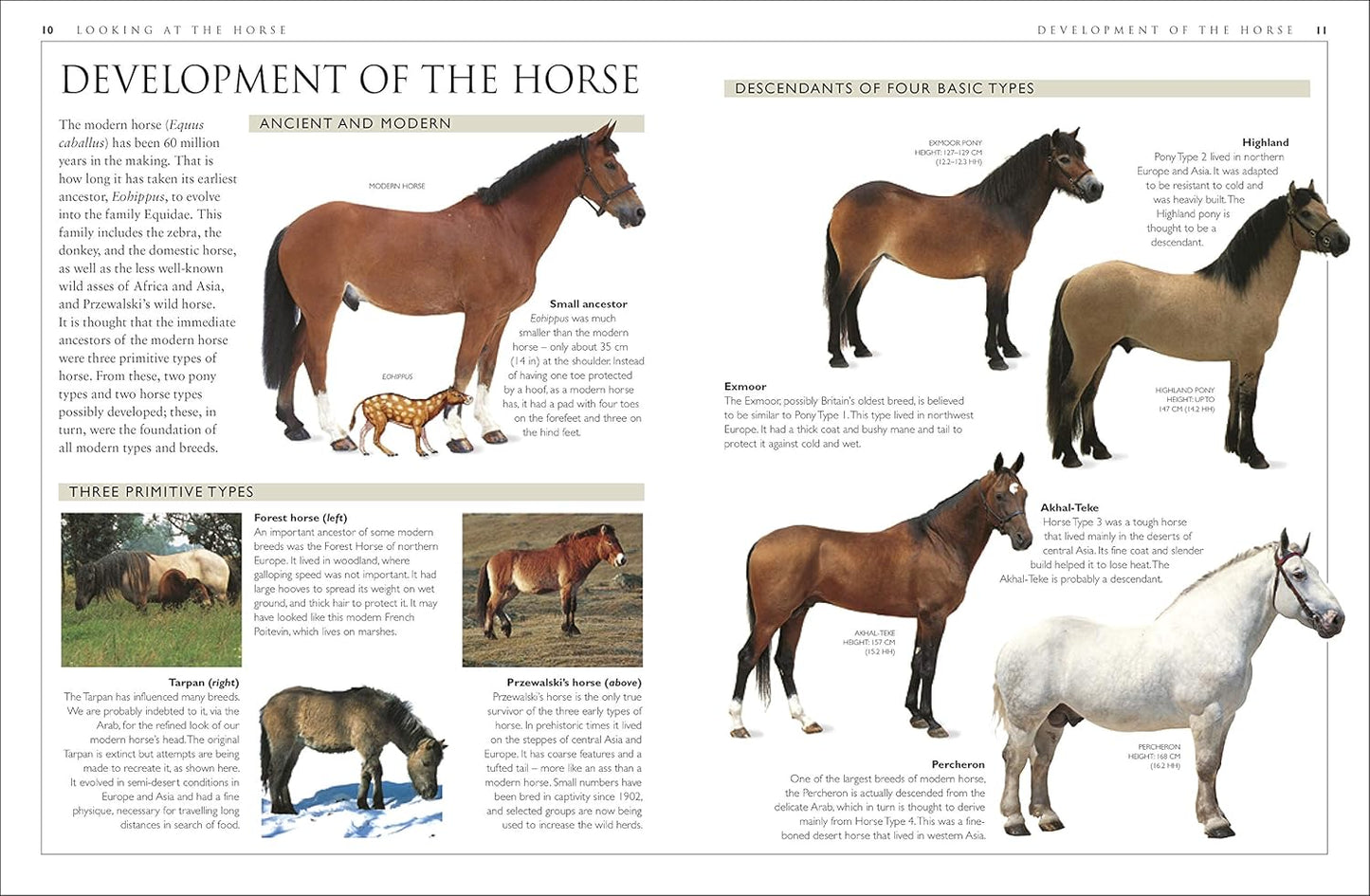 Complete Horse Care Manual - DK Practical Pet Guides (Hardback)