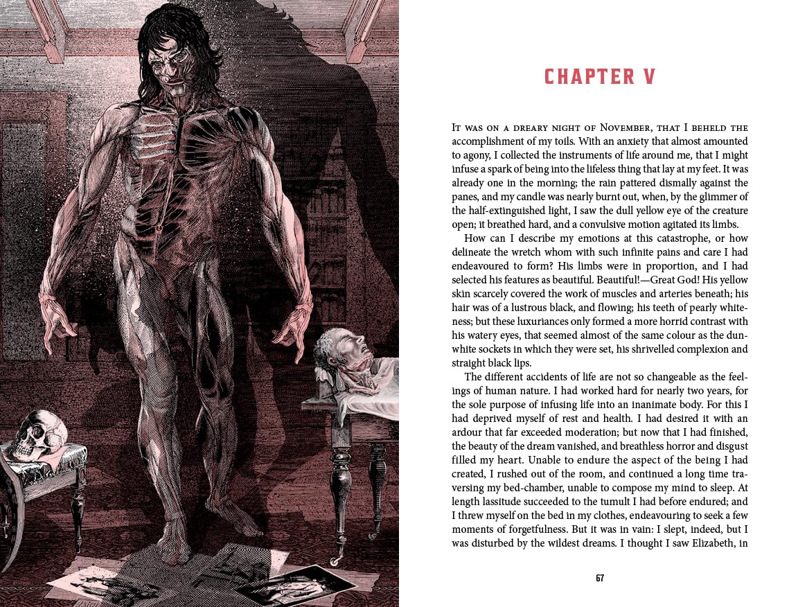 Frankenstein (Collector's Special Edition) - Deluxe Illustrated Classics (Hardback)