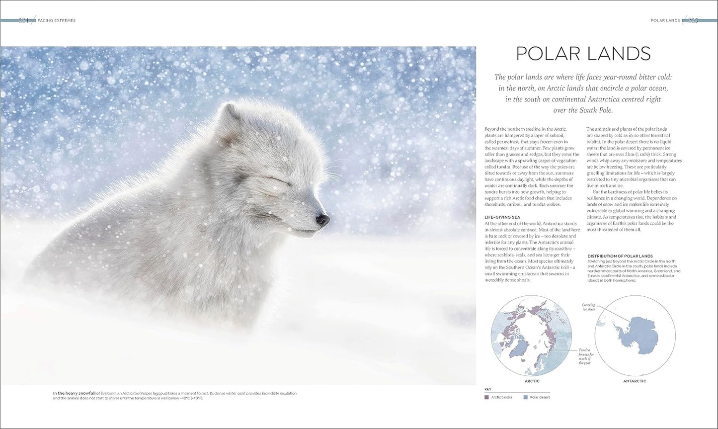 Habitats: Discover Earth's Precious Wild Places (Hardback)