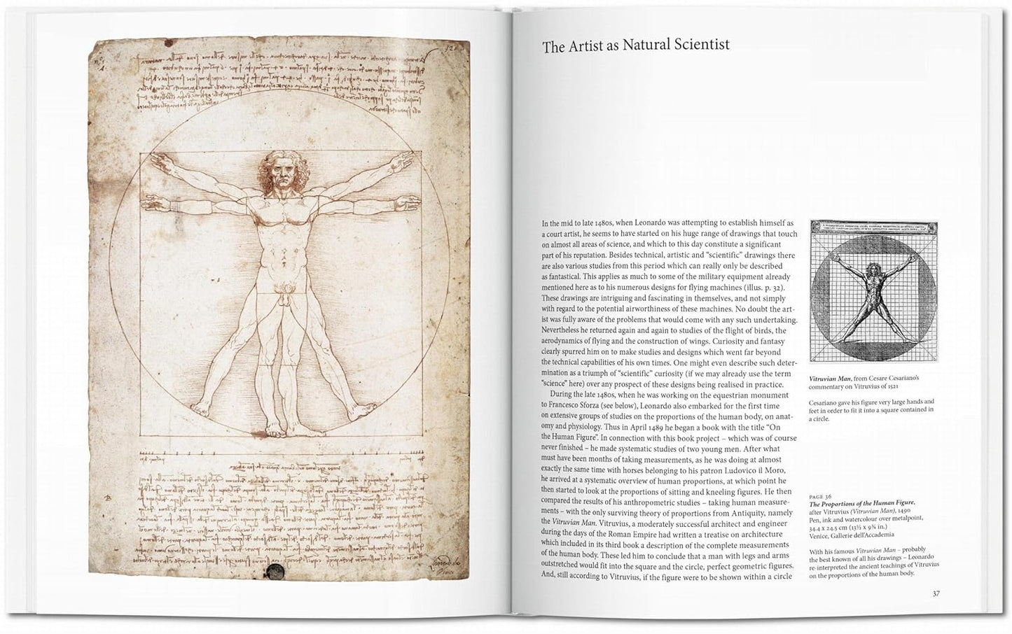 Leonardo - Basic Art (Hardback)