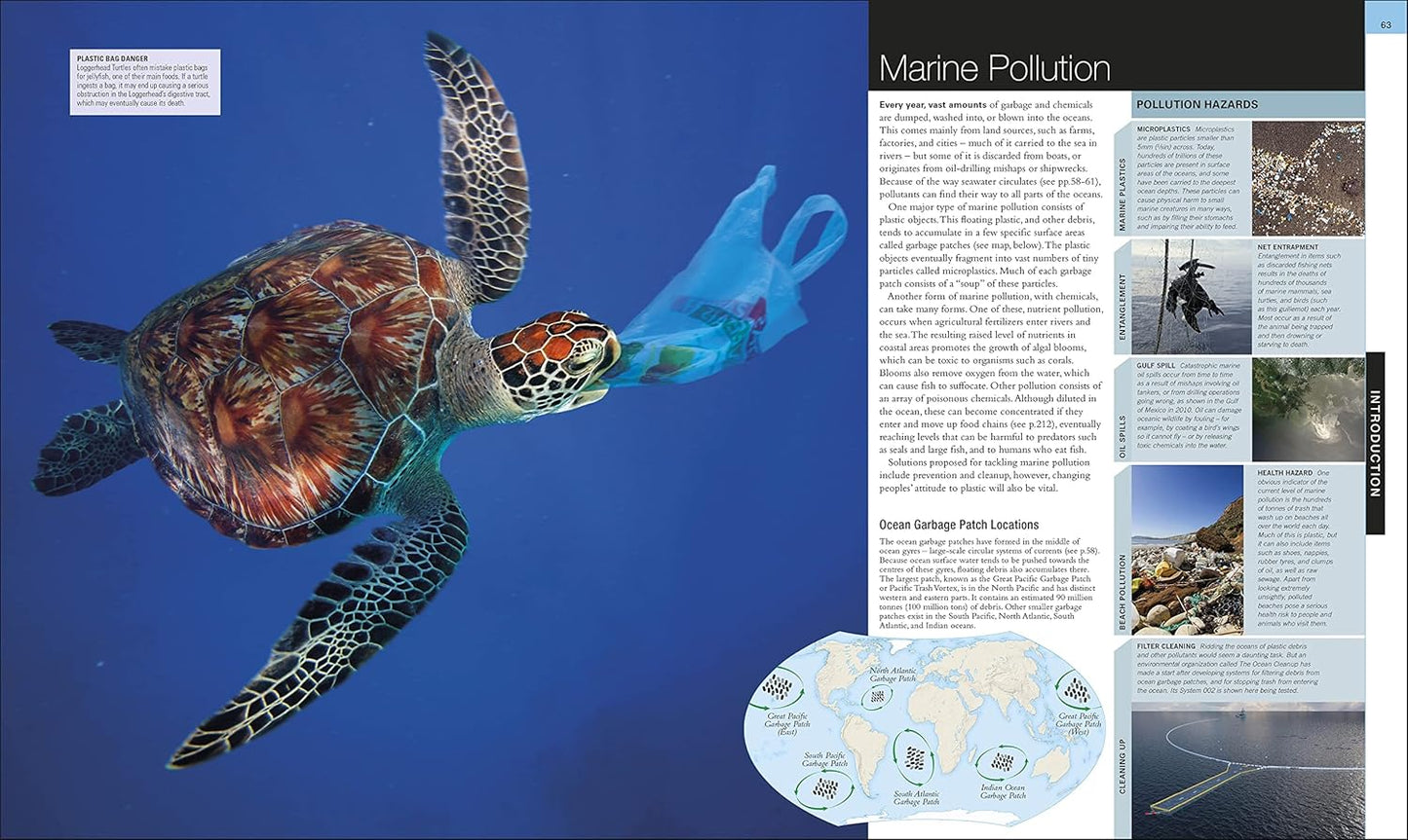Ocean: The Definitive Visual Guide - DK Definitive Visual Encyclopedias (Hardback)