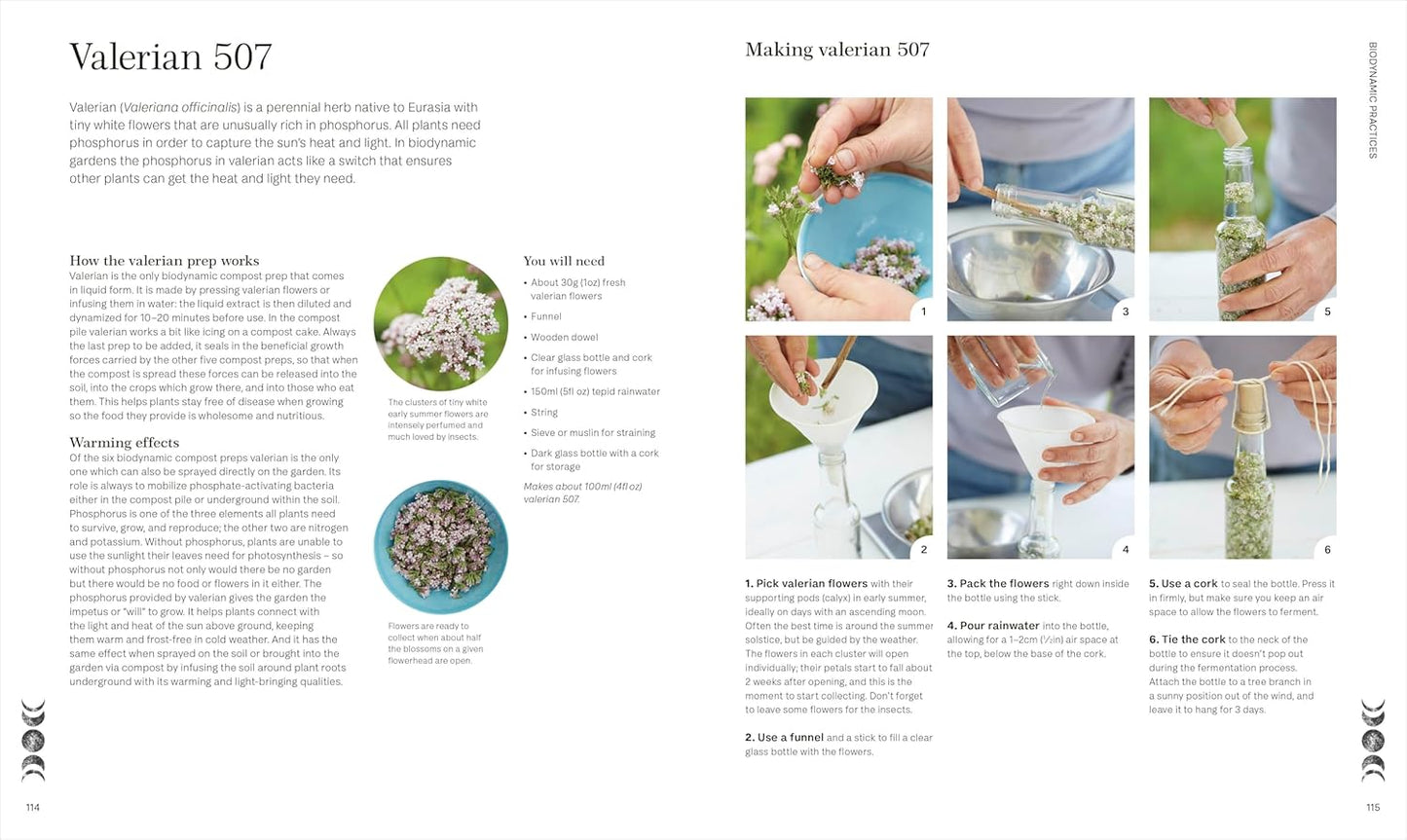 Biodynamic Gardening: Organic Growing Guided by the Moon for Bountiful Harvests (Hardback)
