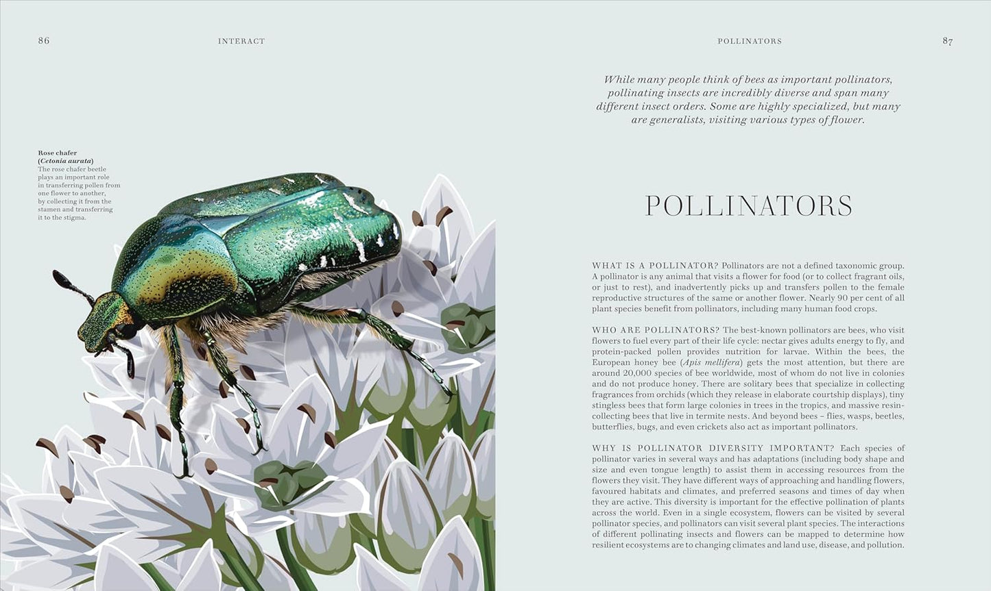 RES Insects: Discover the Science and Secrets Behind the World of Insects - Science and Secrets of Natural History (Hardback)