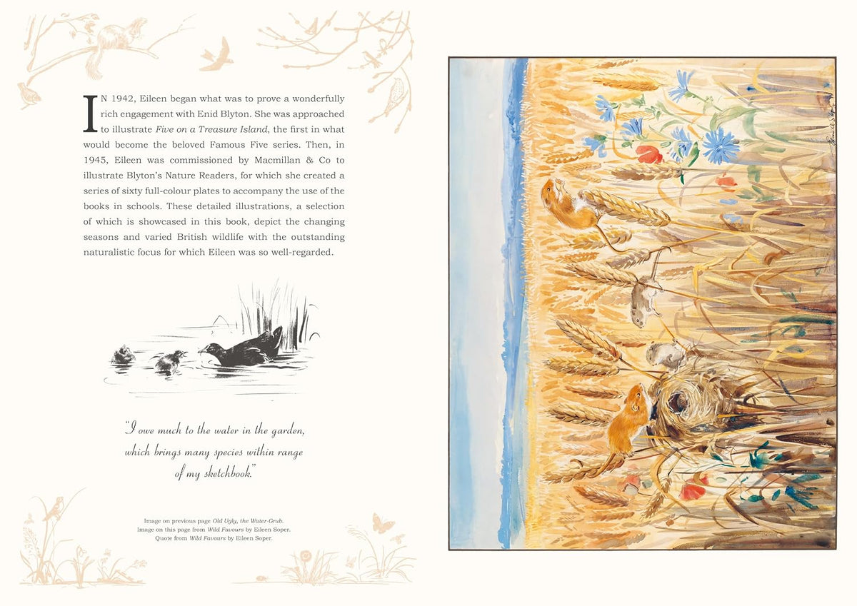 Eileen Soper: The Wonder of Nature Pull-Out Prints: With 22 vintage illustrations, plus quotes and facts (Hardback)