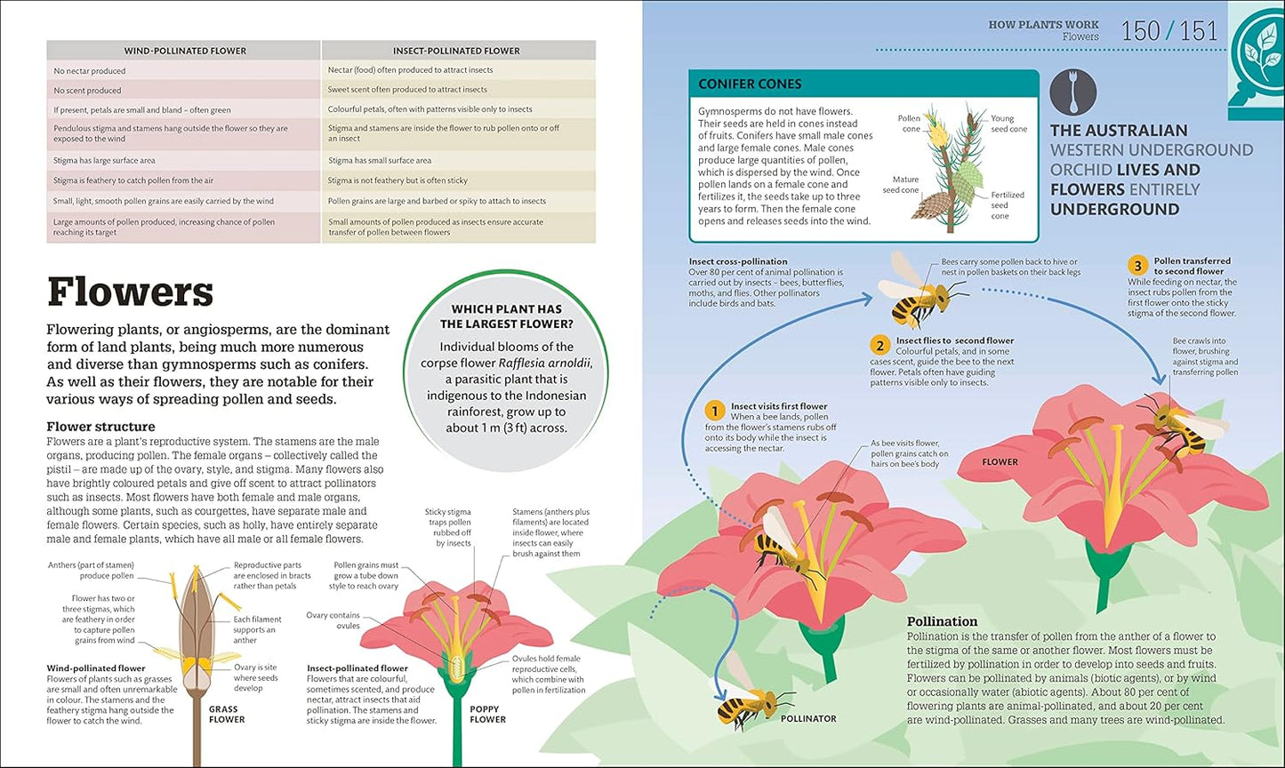 How Biology Works: The Facts Visually Explained - DK How Stuff Works (Hardback)