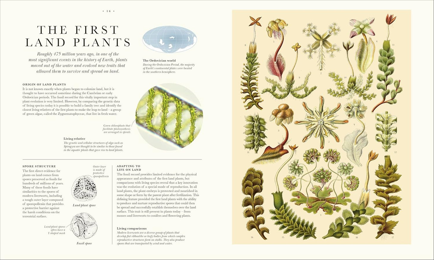 Atlas of Botany: An Exploration of Plants Across Time and Around the World (Hardback)